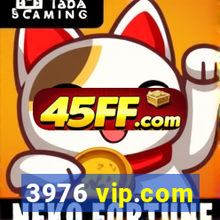 3976 vip.com